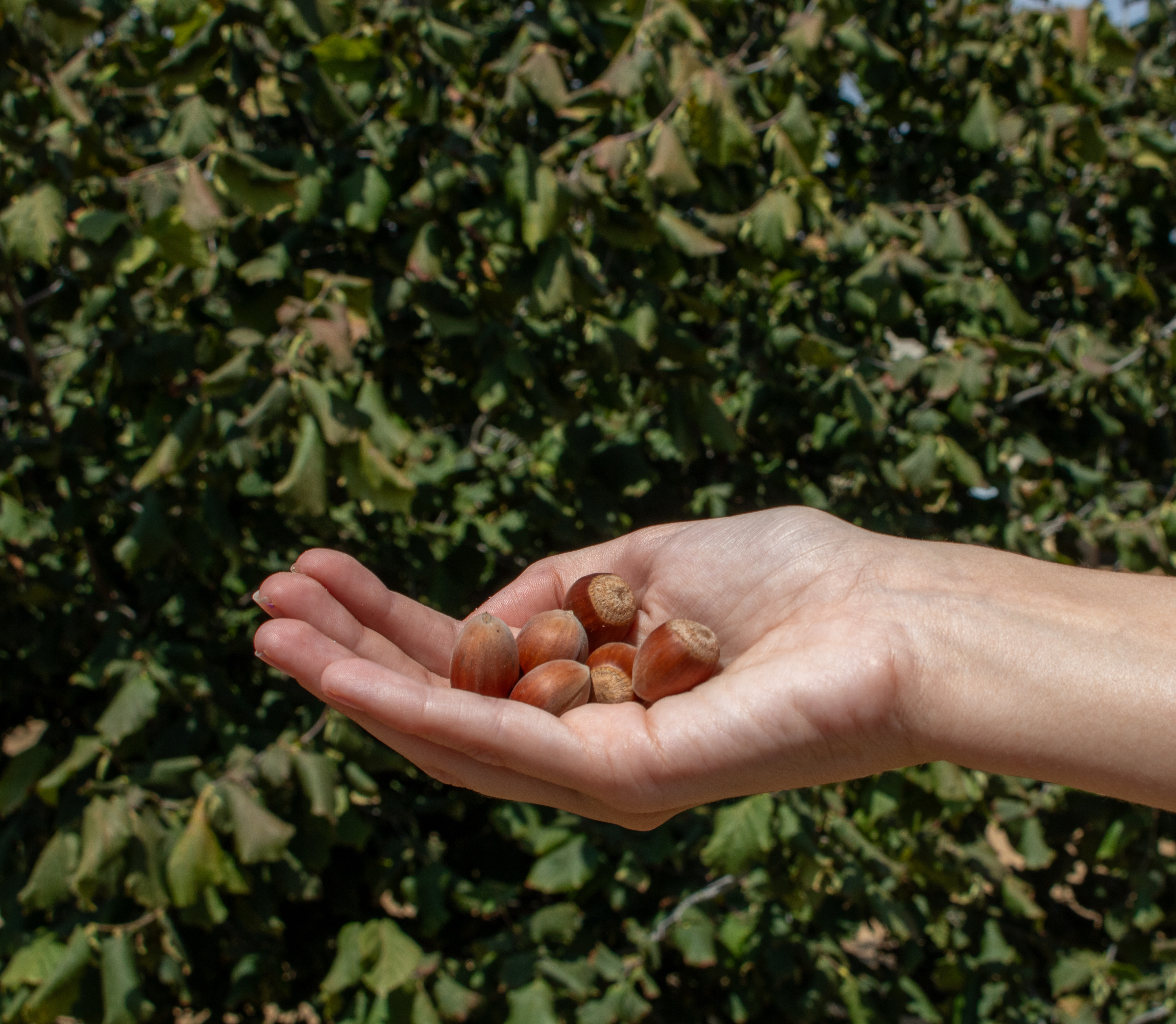 CREACIÓN DE CONTENIDO 1