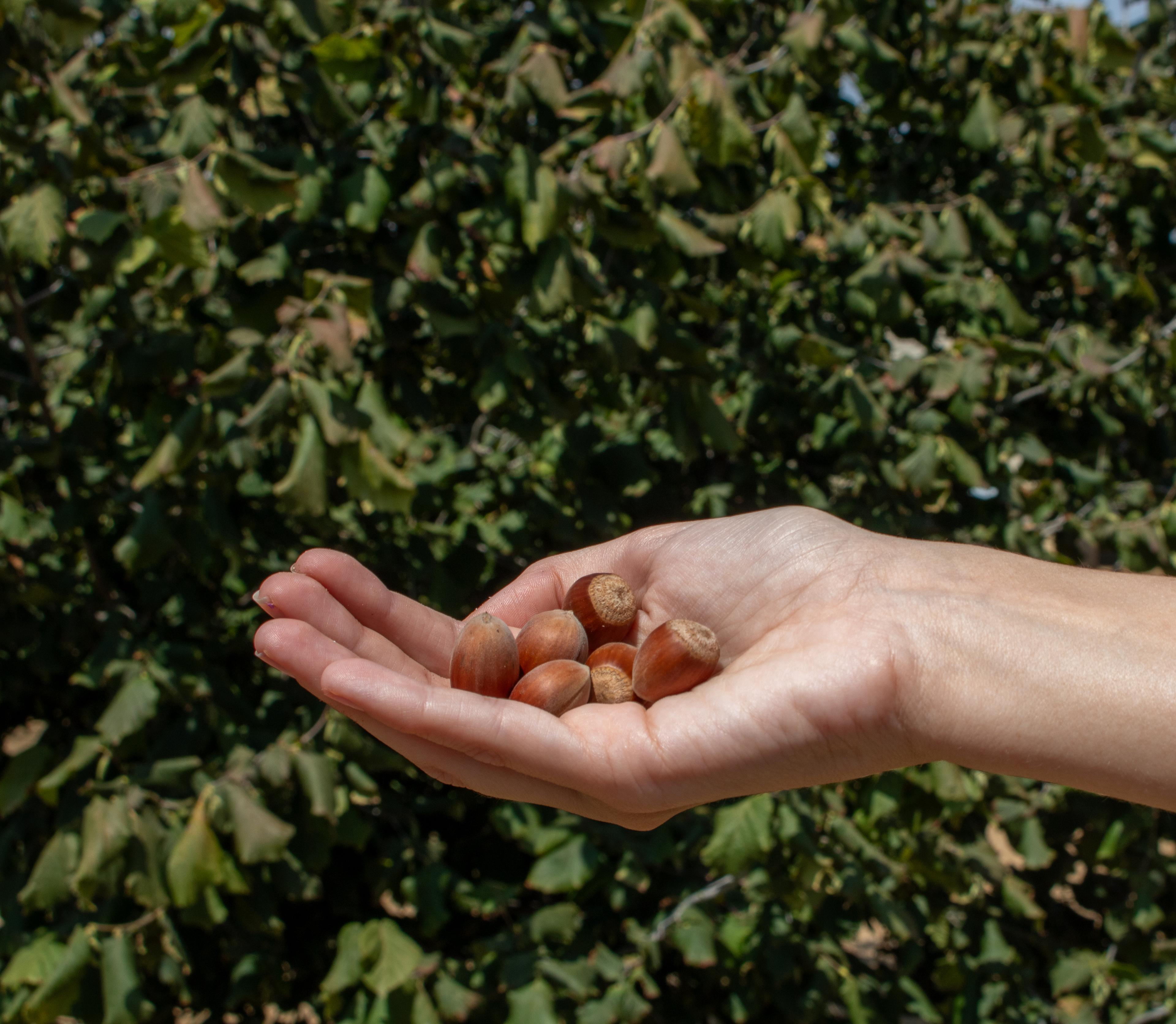CREACIÓ DE CONTINGUT 1